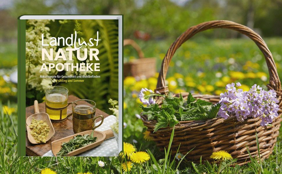 landlust naturapotheke 2 rezepte kraeuter gesund