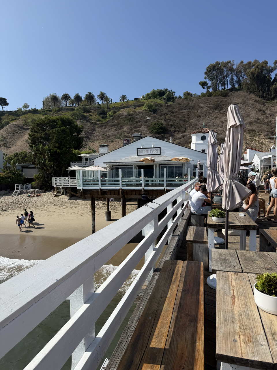 Marathon, Mindset, Meilen - und plötzlich 3:21. Das lief im September 2026. 10 Gross daniel sports insider los angeles september 2026 malibu beach farm